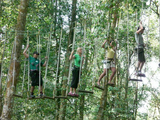 A group in the blue circuit of Bali Treetop - Photo de Bali Treetop Adventure Park, Bedugul - Tripadvisor