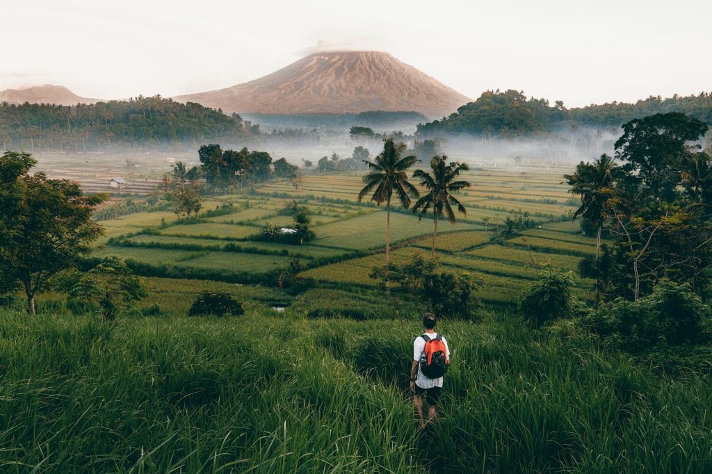 Amed-bali