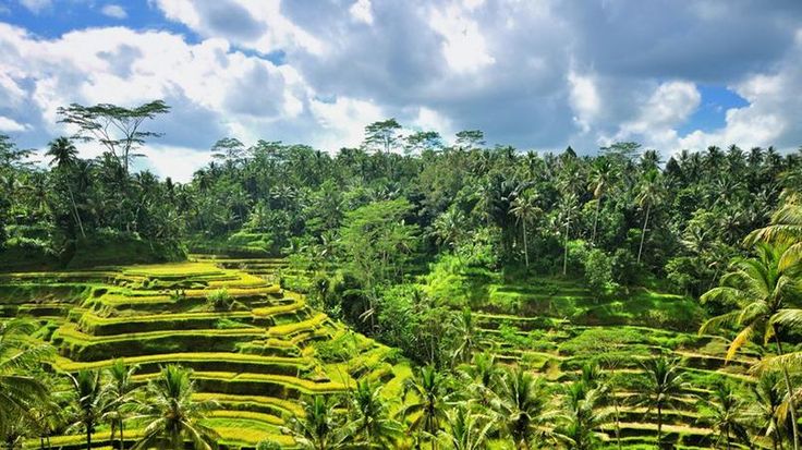 Les 10 sites et attractions incontournables à Bali